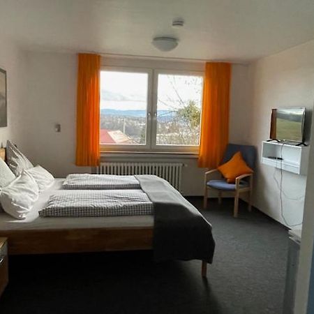 Doppelzimmer Mit Albblick Tübingen Kültér fotó